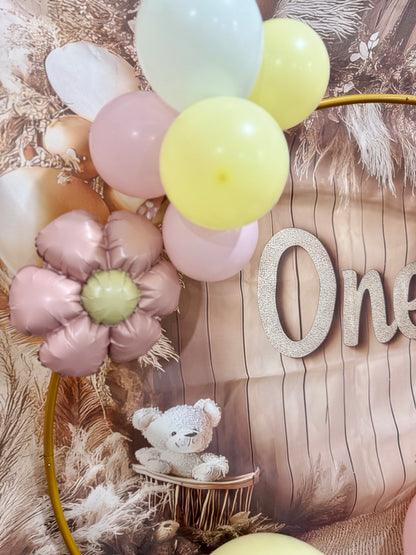 Hire: Circle Backdrop Frame