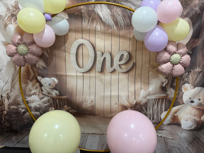 Hire: Circle Backdrop Frame