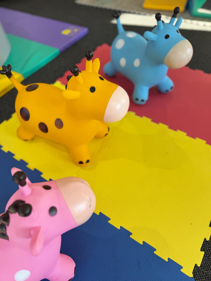 Wee Adventurers - Party Package